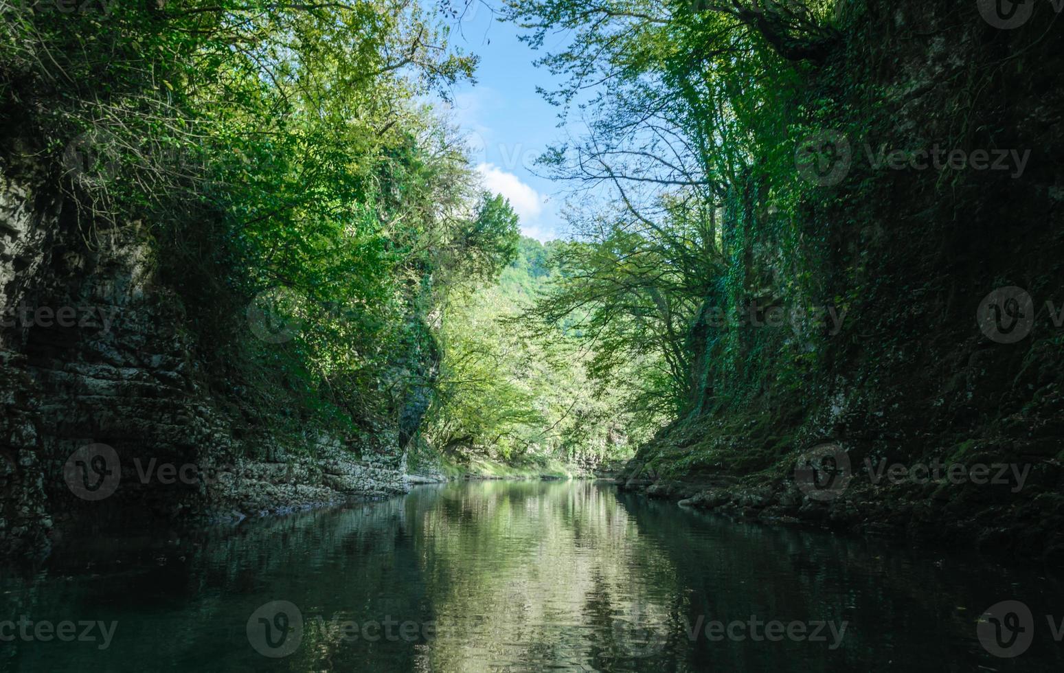 rio e floresta foto