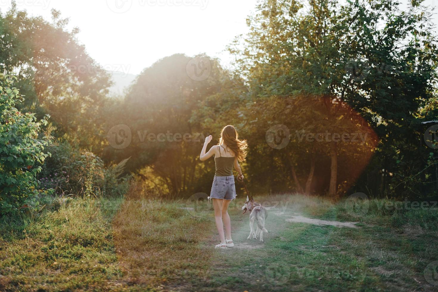 uma mulher corre dela costas para a Câmera com uma cachorro dentro a floresta durante a tarde andar dentro a floresta às pôr do sol dentro outono. estilo de vida Esportes Treinamento com seu Amado cachorro foto