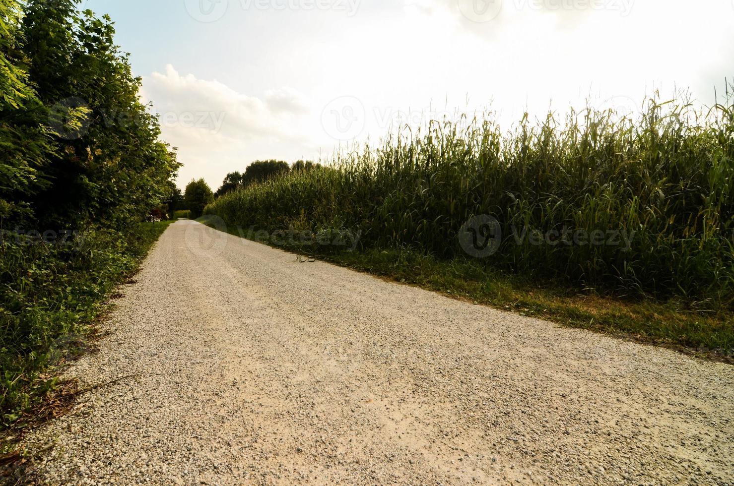 estrada através a cênico panorama foto