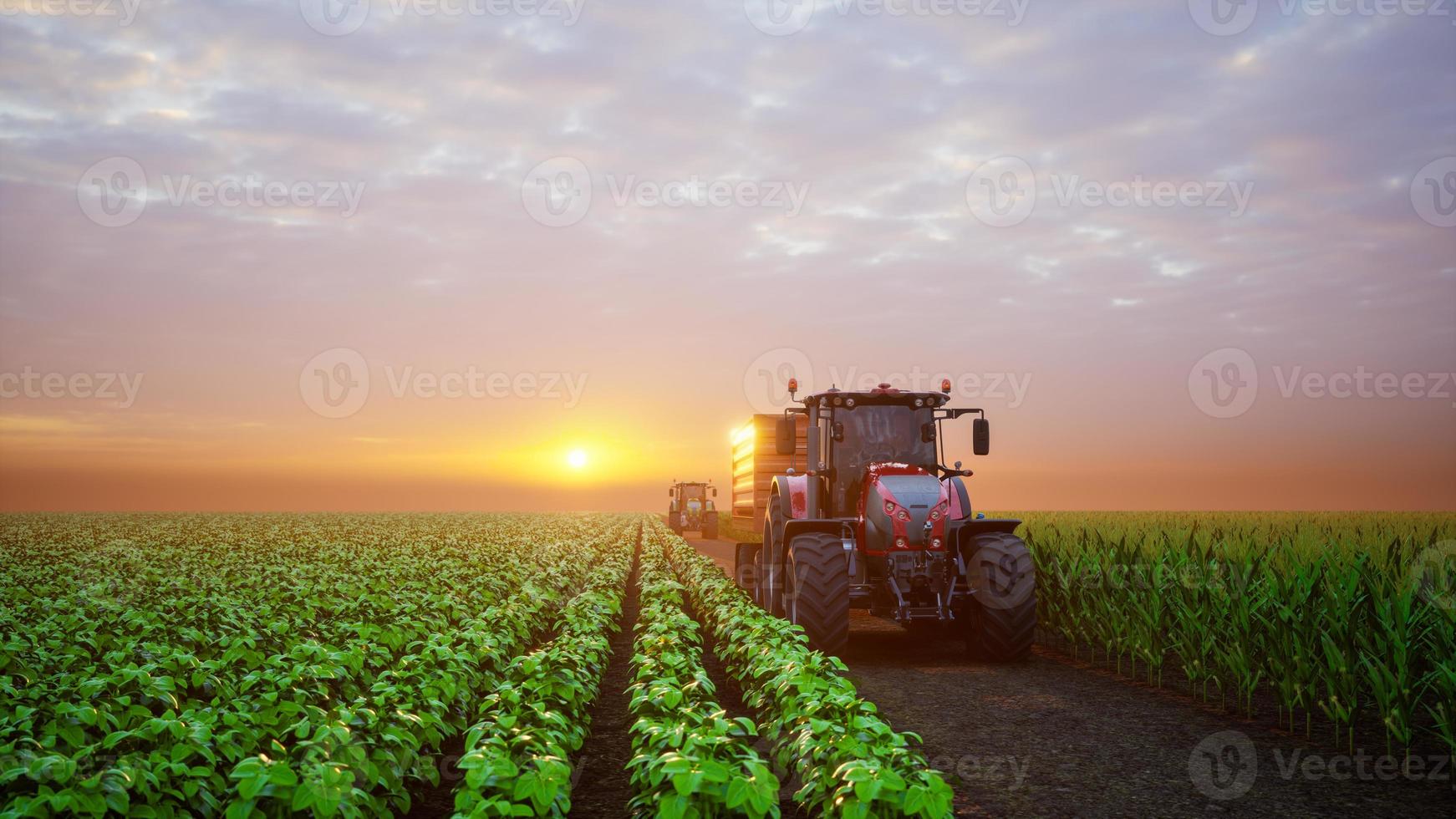 trator trabalhando dentro agrícola tramas às pôr do sol. 3d render foto