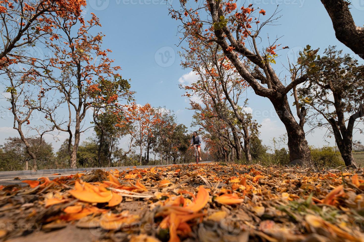 jovem andando de bicicleta durante a temporada de outono foto