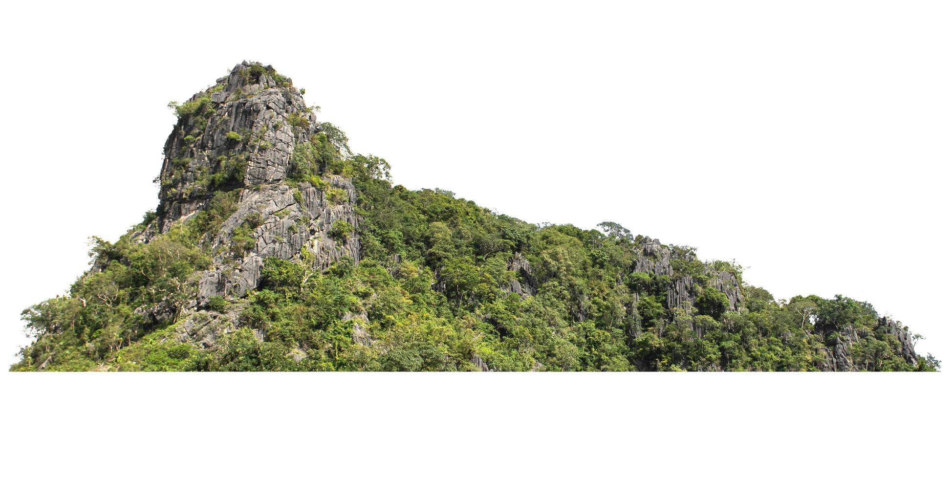 colina de montanha rochosa com floresta verde isolar no fundo branco foto