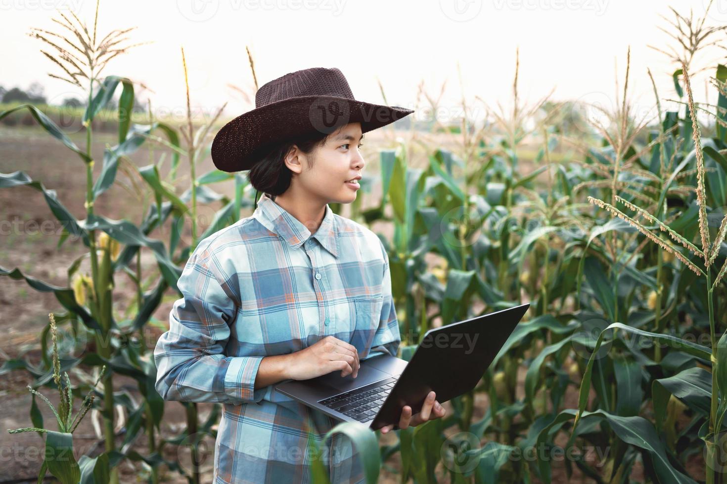 jovem mulher em pé usar computador portátil verificação milho dentro Fazenda. tecnologia agricultura conept foto