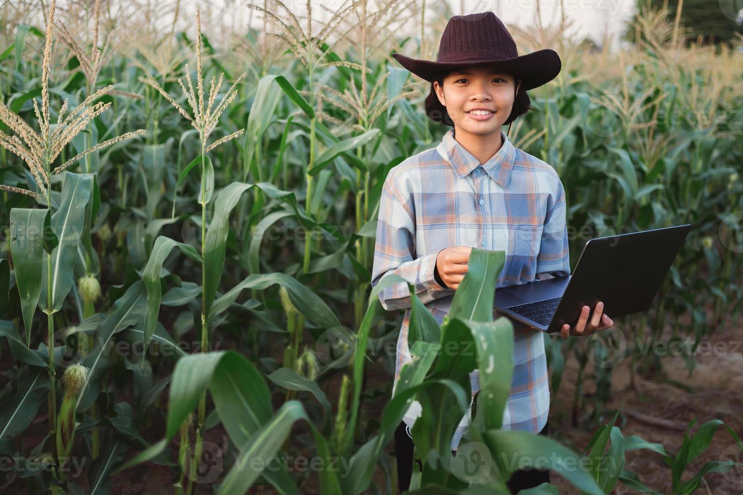 técnico agricultor usar computador portátil computador verificação milho dentro Fazenda. tecnologia agricultura conept foto