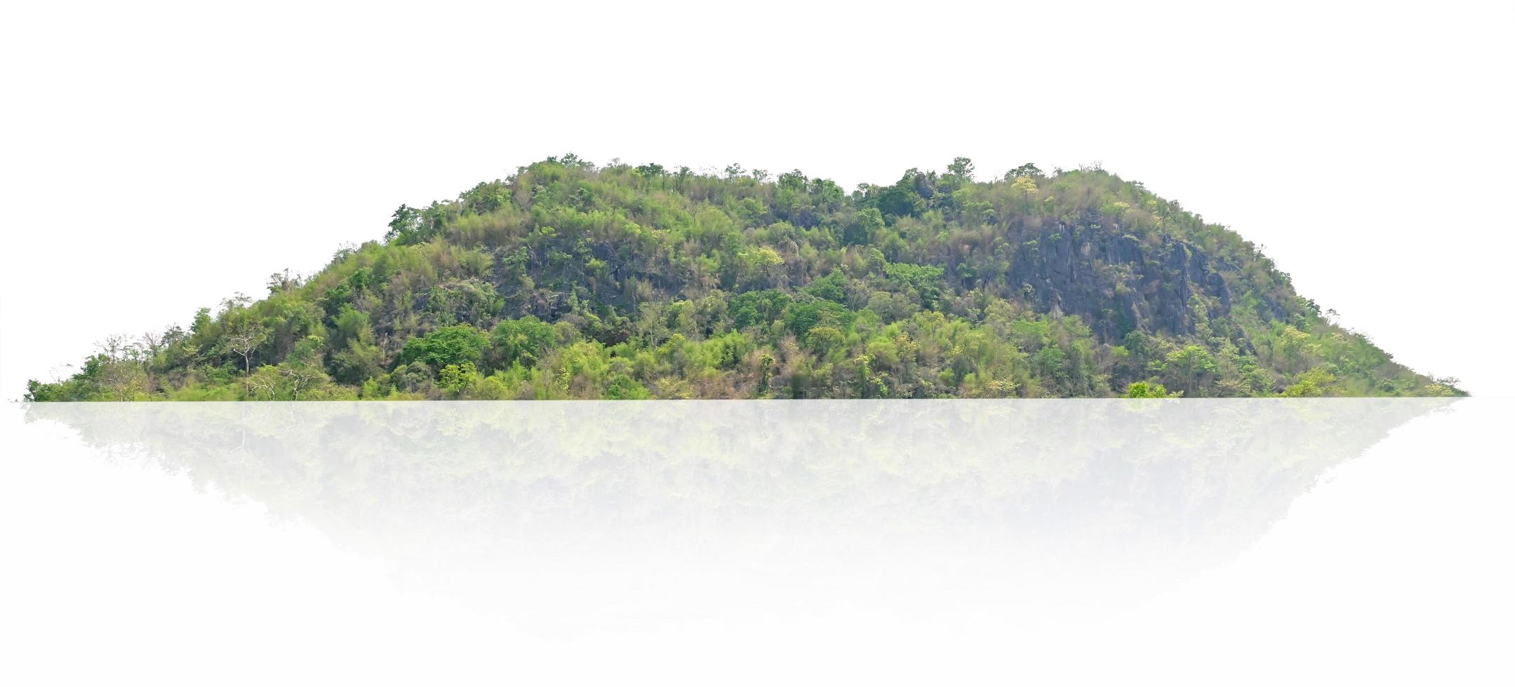 montanha Rocha com árvore isolar em branco fundo foto