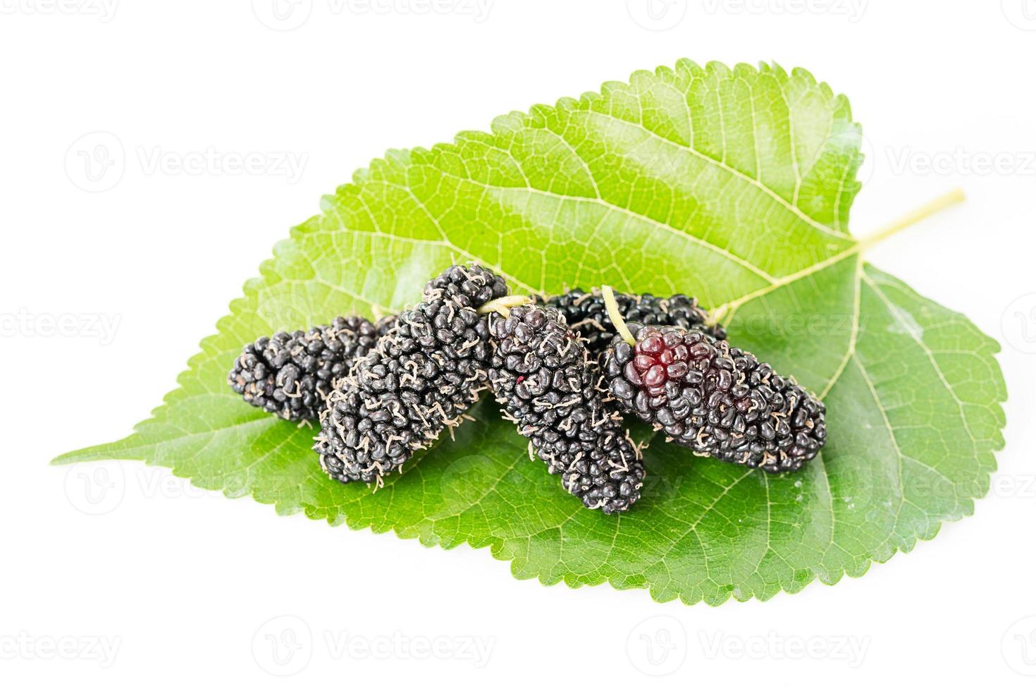 fechar a fruta de amora com folha verde foto