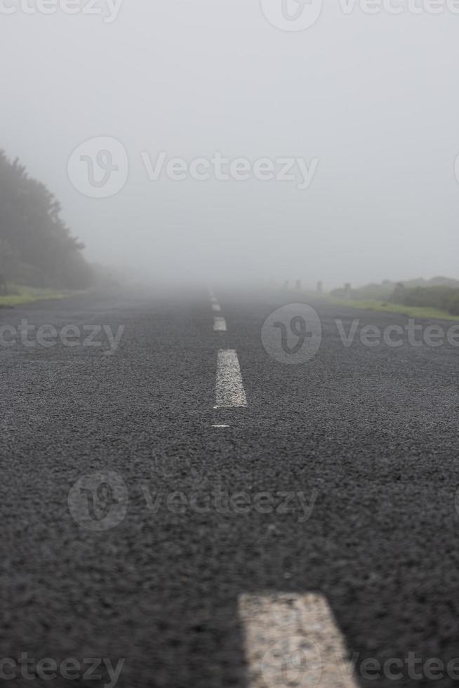 uma silencioso manhã em uma enevoado estrada foto