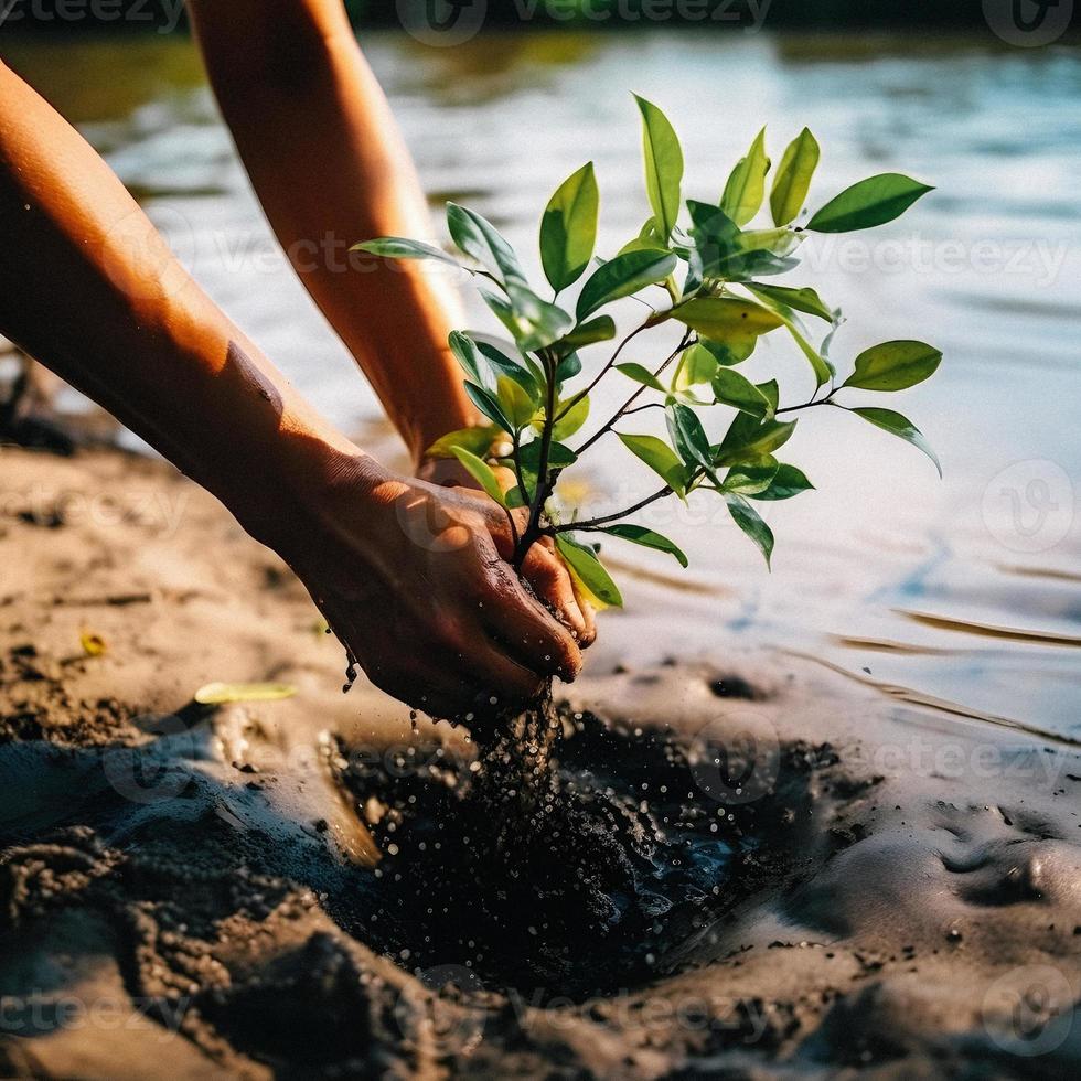 restaurando a litoral comunidade noivado dentro plantio manguezais para meio Ambiente conservação e habitat restauração em terra dia, promovendo sustentabilidade. terra dia foto