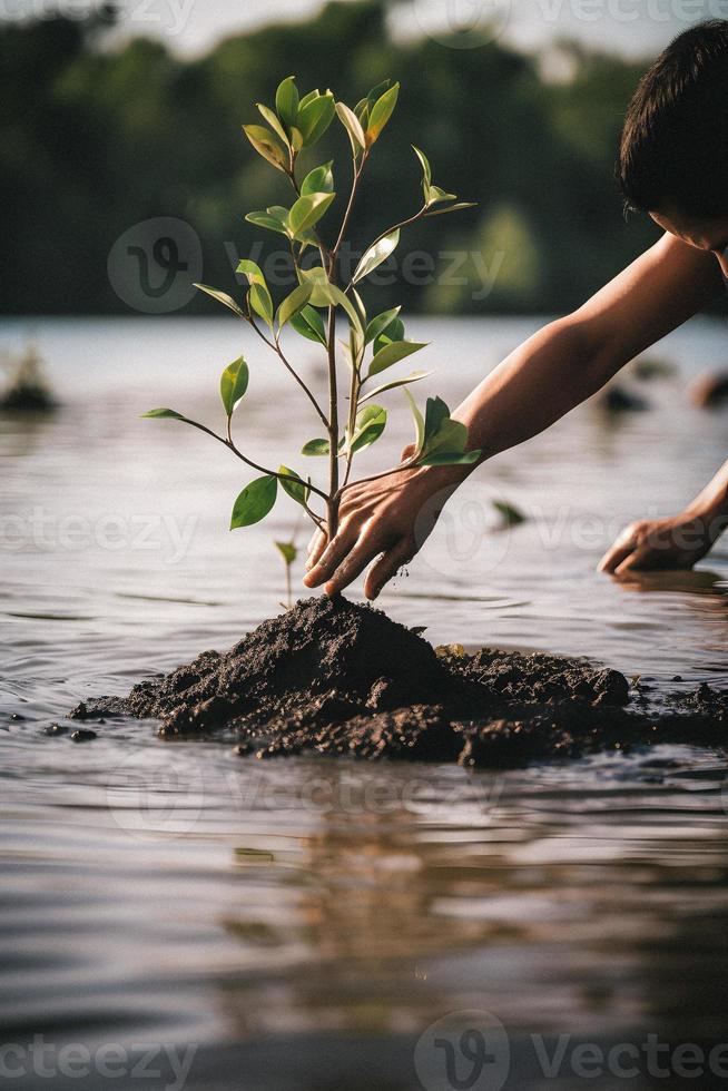 restaurando a litoral comunidade noivado dentro plantio manguezais para meio Ambiente conservação e habitat restauração em terra dia, promovendo sustentabilidade. terra dia foto