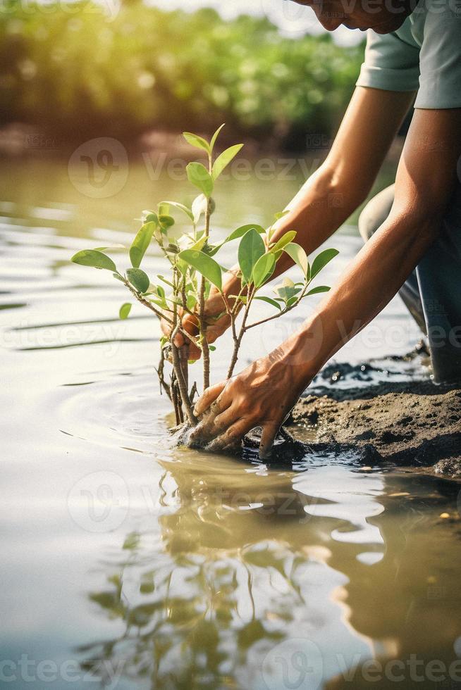 restaurando a litoral comunidade noivado dentro plantio manguezais para meio Ambiente conservação e habitat restauração em terra dia, promovendo sustentabilidade. terra dia foto