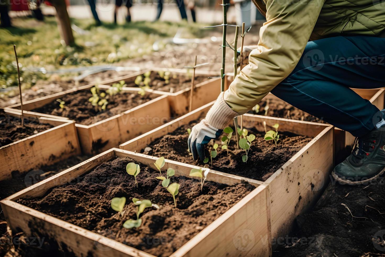 plantio árvores para uma sustentável futuro. comunidade jardim e de Meio Ambiente conservação - promovendo habitat restauração e comunidade noivado em terra dia foto