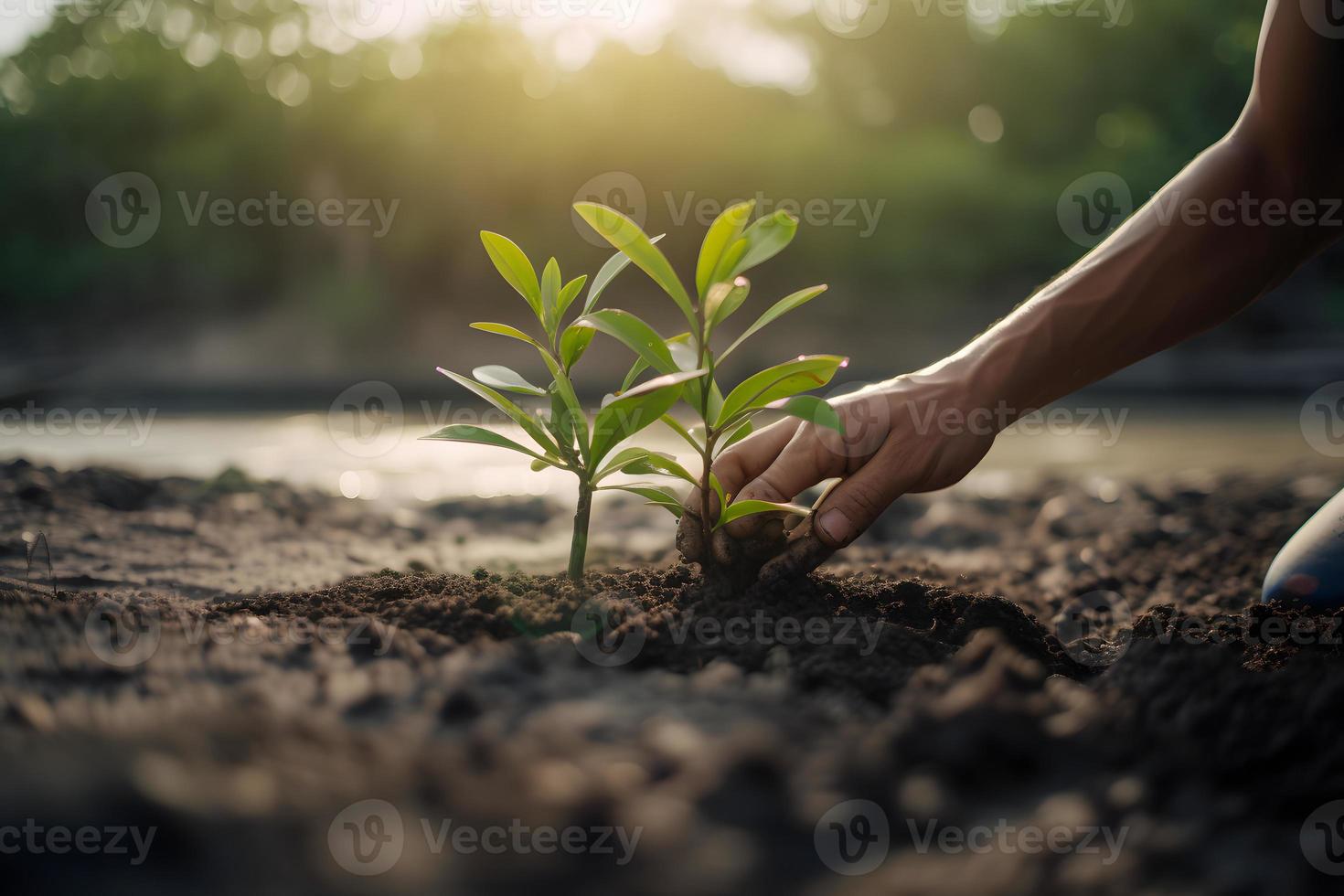 restaurando a litoral comunidade noivado dentro plantio manguezais para meio Ambiente conservação e habitat restauração em terra dia, promovendo sustentabilidade. terra dia foto