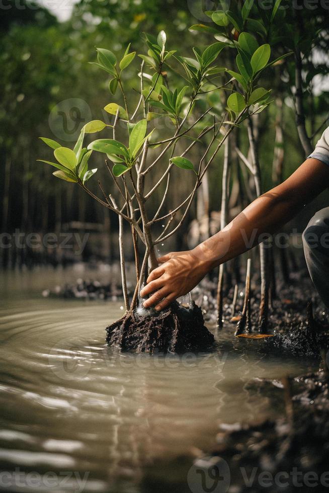 restaurando a litoral comunidade noivado dentro plantio manguezais para meio Ambiente conservação e habitat restauração em terra dia, promovendo sustentabilidade. terra dia foto