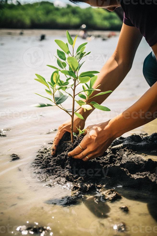 restaurando a litoral comunidade noivado dentro plantio manguezais para meio Ambiente conservação e habitat restauração em terra dia, promovendo sustentabilidade. terra dia foto