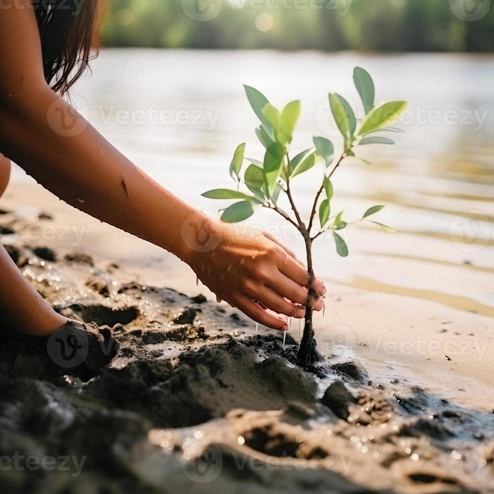 restaurando a litoral comunidade noivado dentro plantio manguezais para meio Ambiente conservação e habitat restauração em terra dia, promovendo sustentabilidade. terra dia foto