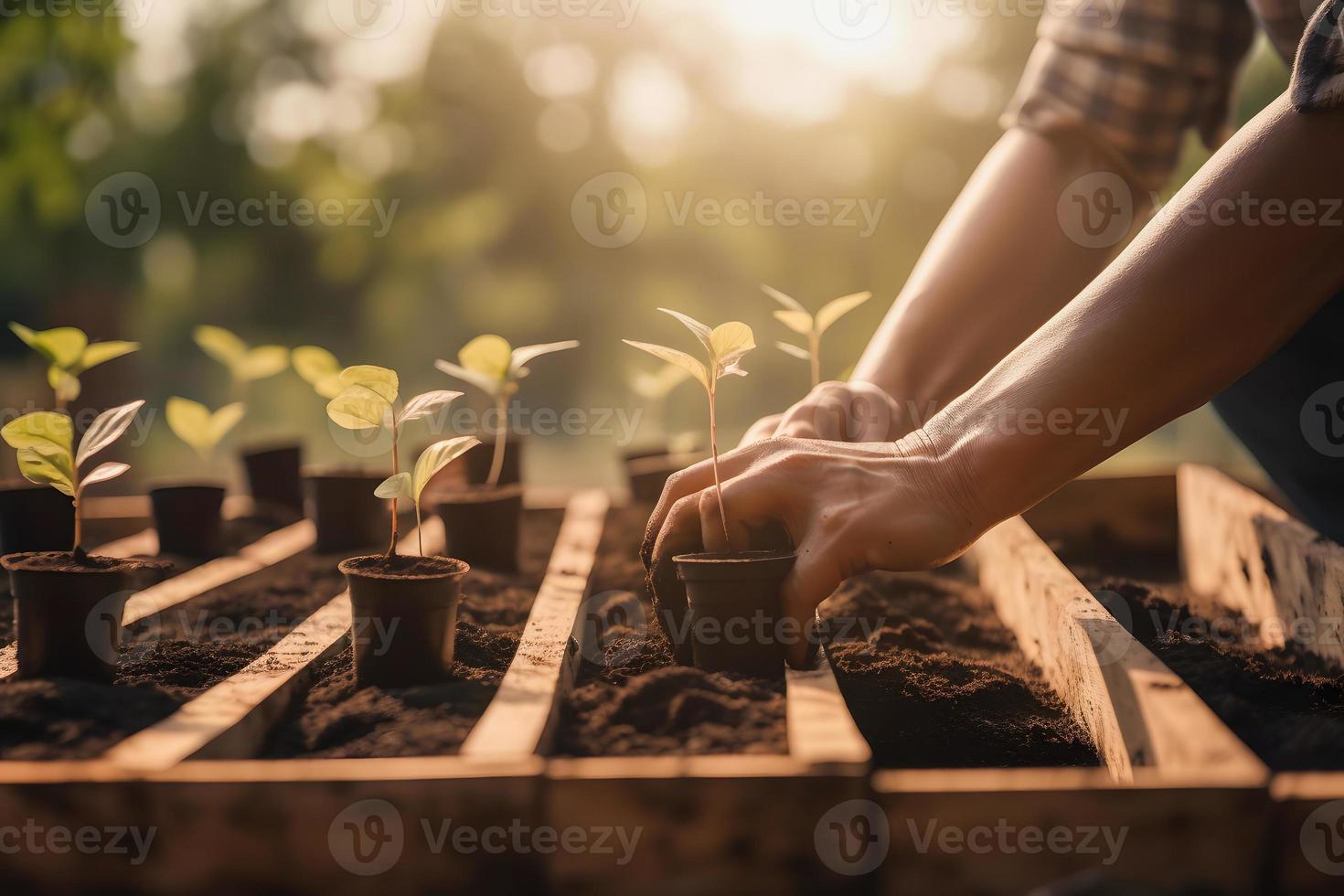 plantio árvores para uma sustentável futuro. comunidade jardim e de Meio Ambiente conservação - promovendo habitat restauração e comunidade noivado em terra dia foto