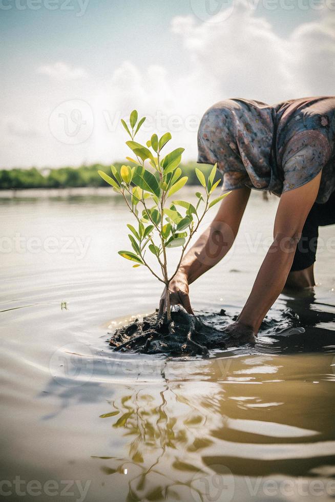 restaurando a litoral comunidade noivado dentro plantio manguezais para meio Ambiente conservação e habitat restauração em terra dia, promovendo sustentabilidade. terra dia foto