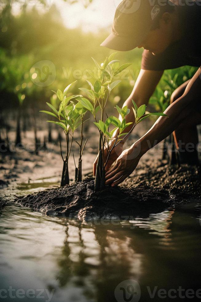 restaurando a litoral comunidade noivado dentro plantio manguezais para meio Ambiente conservação e habitat restauração em terra dia, promovendo sustentabilidade. terra dia foto