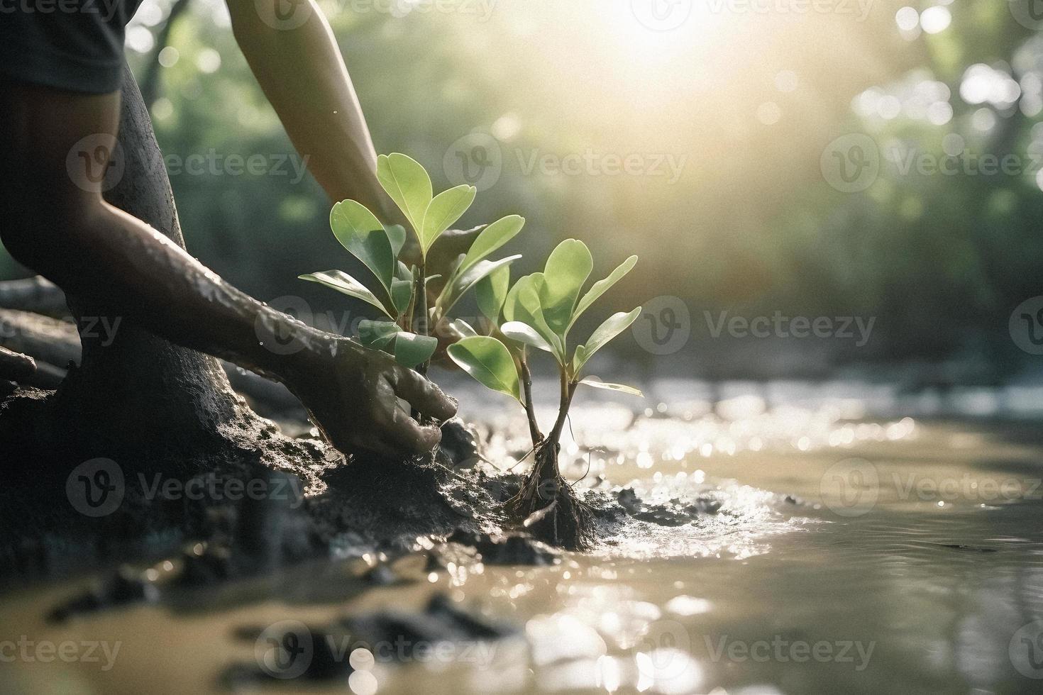 restaurando a litoral comunidade noivado dentro plantio manguezais para meio Ambiente conservação e habitat restauração em terra dia, promovendo sustentabilidade. terra dia foto