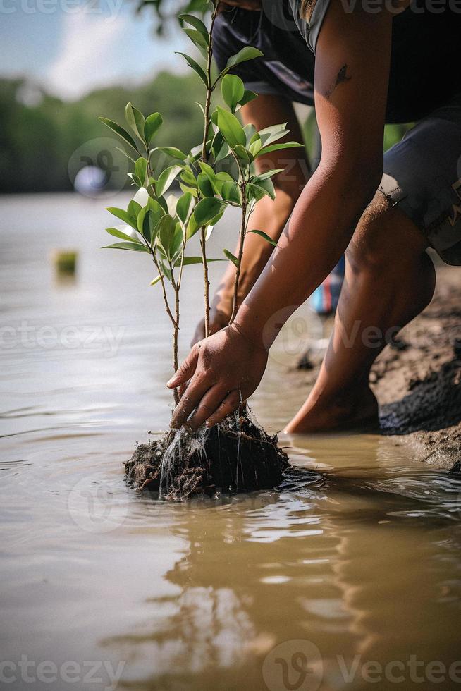 restaurando a litoral comunidade noivado dentro plantio manguezais para meio Ambiente conservação e habitat restauração em terra dia, promovendo sustentabilidade. terra dia foto