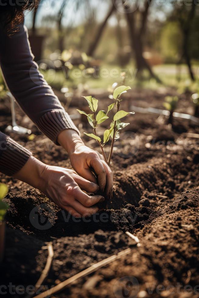 plantio árvores para uma sustentável futuro. comunidade jardim e de Meio Ambiente conservação - promovendo habitat restauração e comunidade noivado em terra dia foto