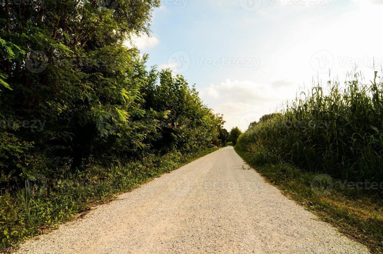 estrada no campo foto