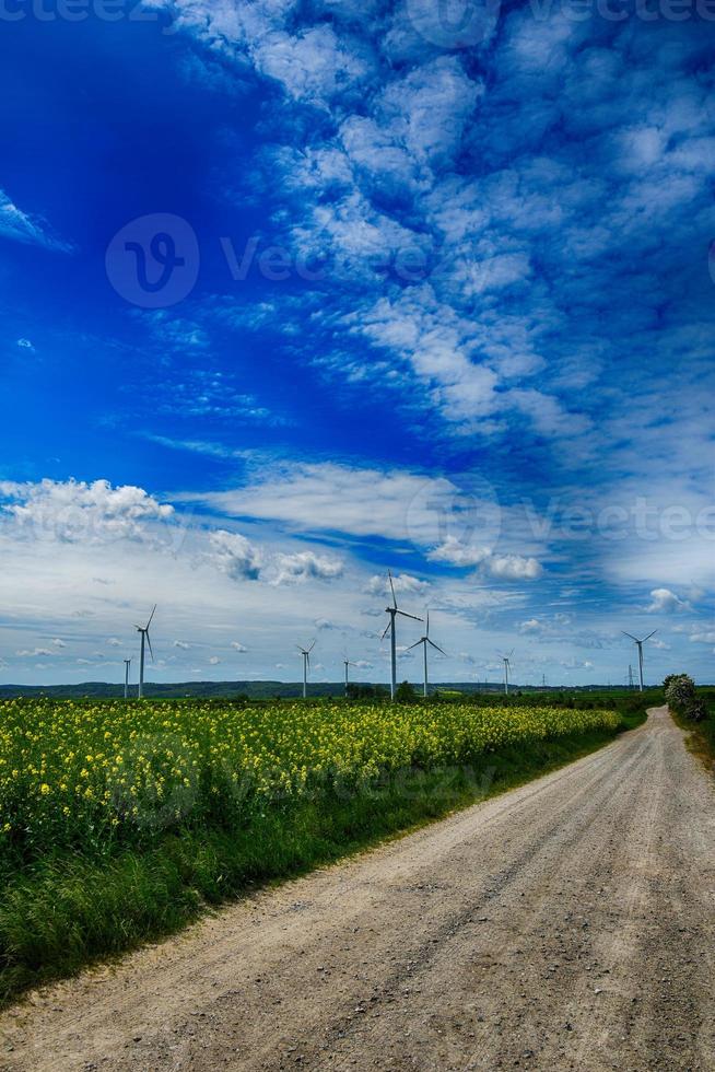 pitoresco Primavera panorama com azul céu e verde Campos foto