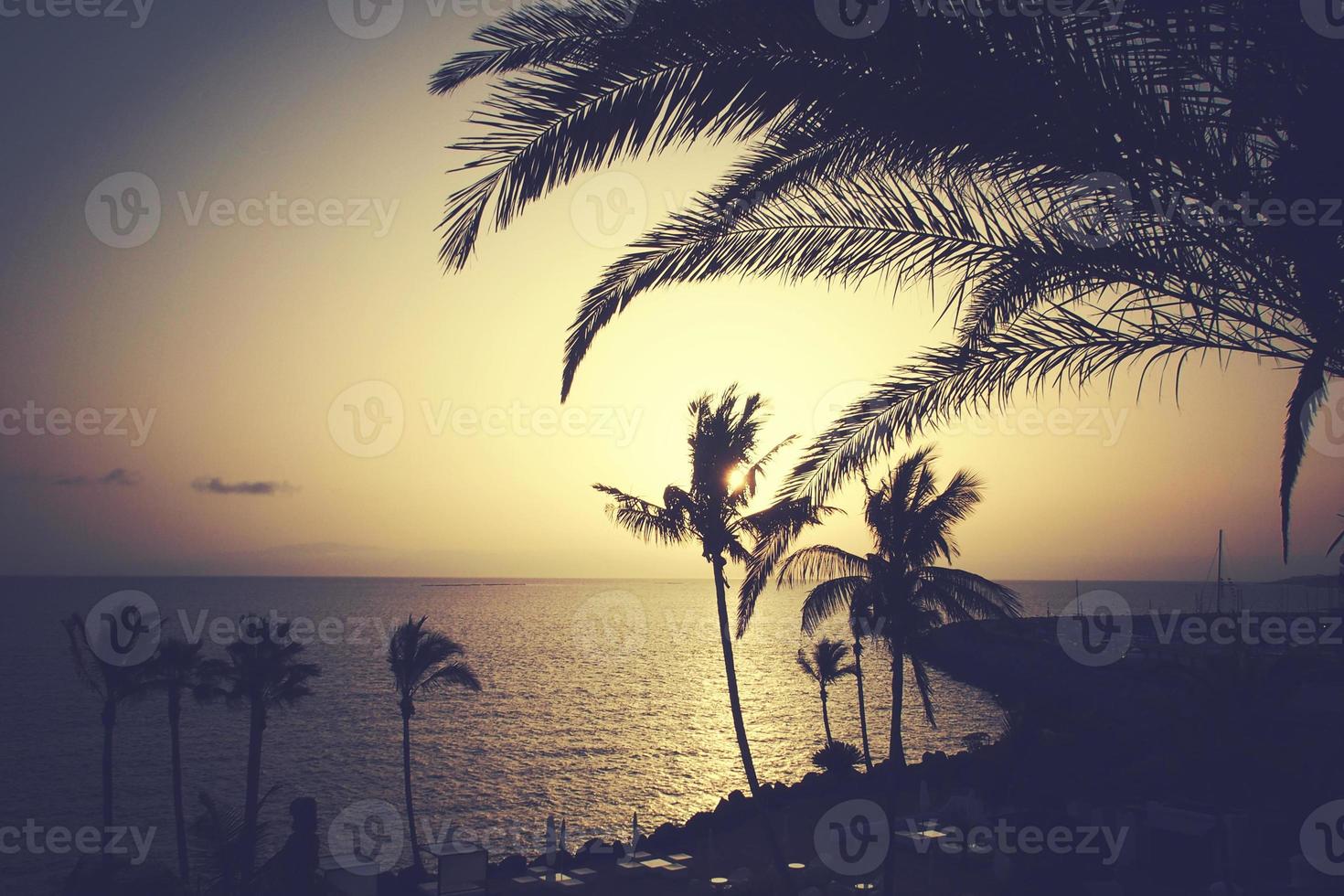 pitoresco oceano panorama com a configuração Sol dentro uma tropical país durante verão feriados com Palma foto