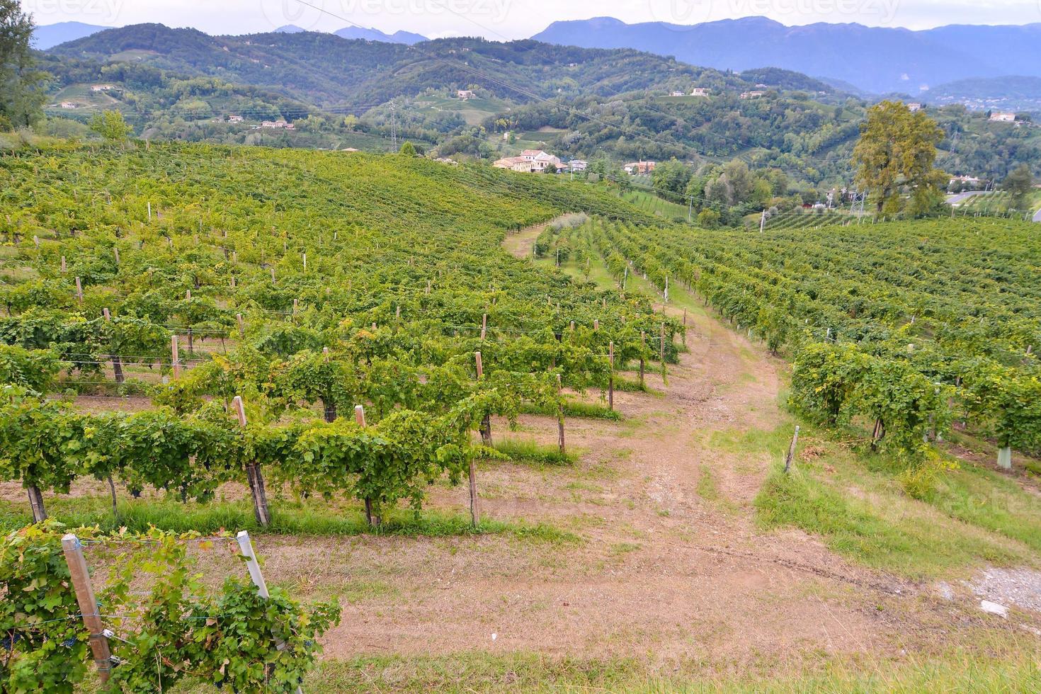 cênico rural panorama foto