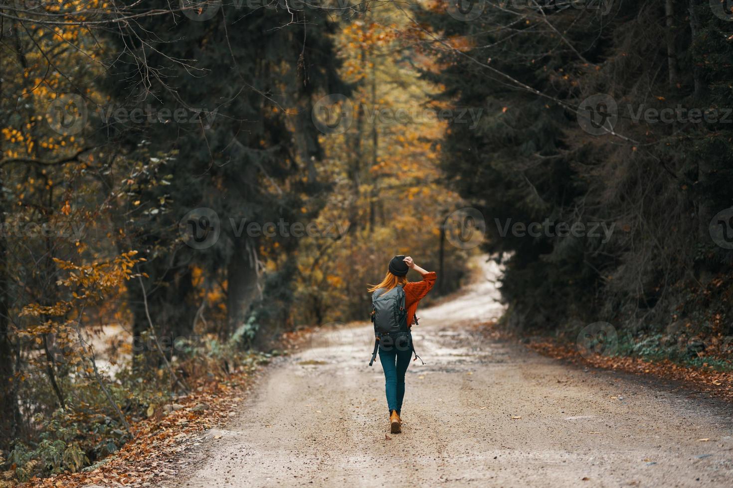mulher viaja dentro outono floresta em a estrada panorama alta árvores mochila modelo foto