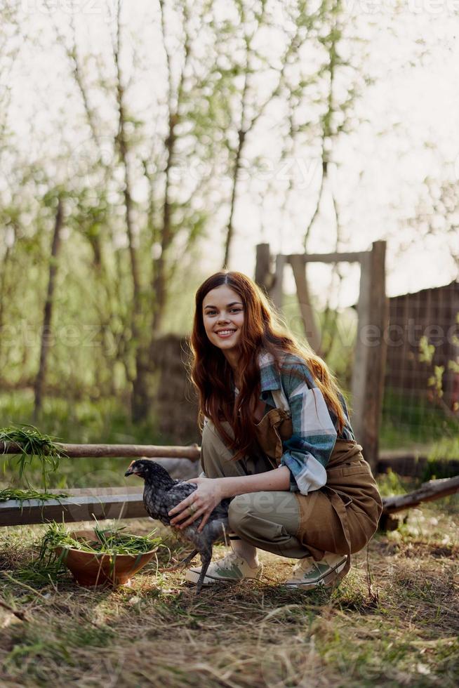 feliz mulher agricultor trabalho às dela país casa dentro a frango caneta e examina eles para Verifica a saúde do jovem galinhas foto