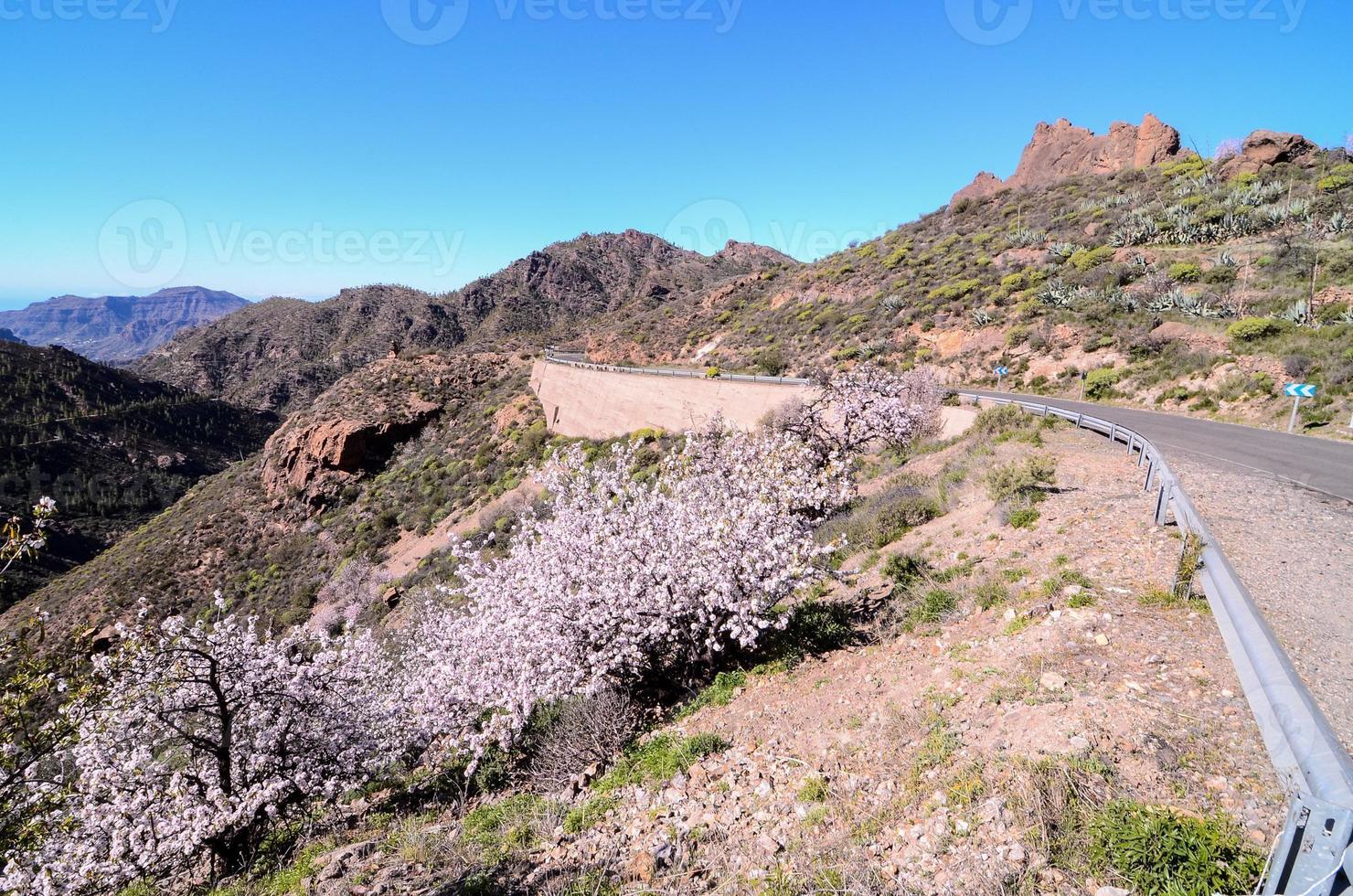 cênico rural panorama foto