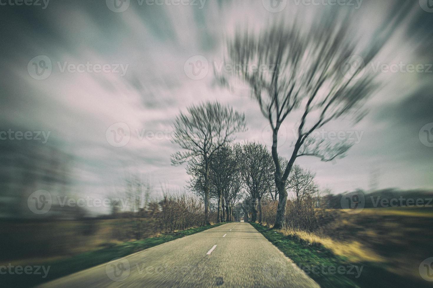 velho limitar asfalto estrada com árvores em a lado do a estrada durante uma carro passeio dentro cedo Primavera foto
