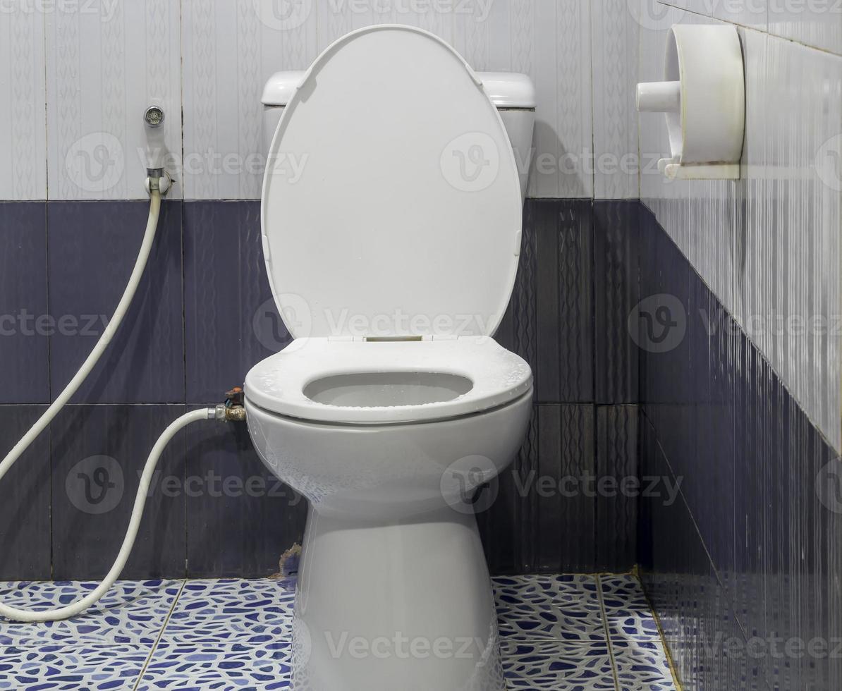 branco banheiro tigela com bidé pulverizador dentro recorrer ou hotel banheiro ocupado depois de usar foto