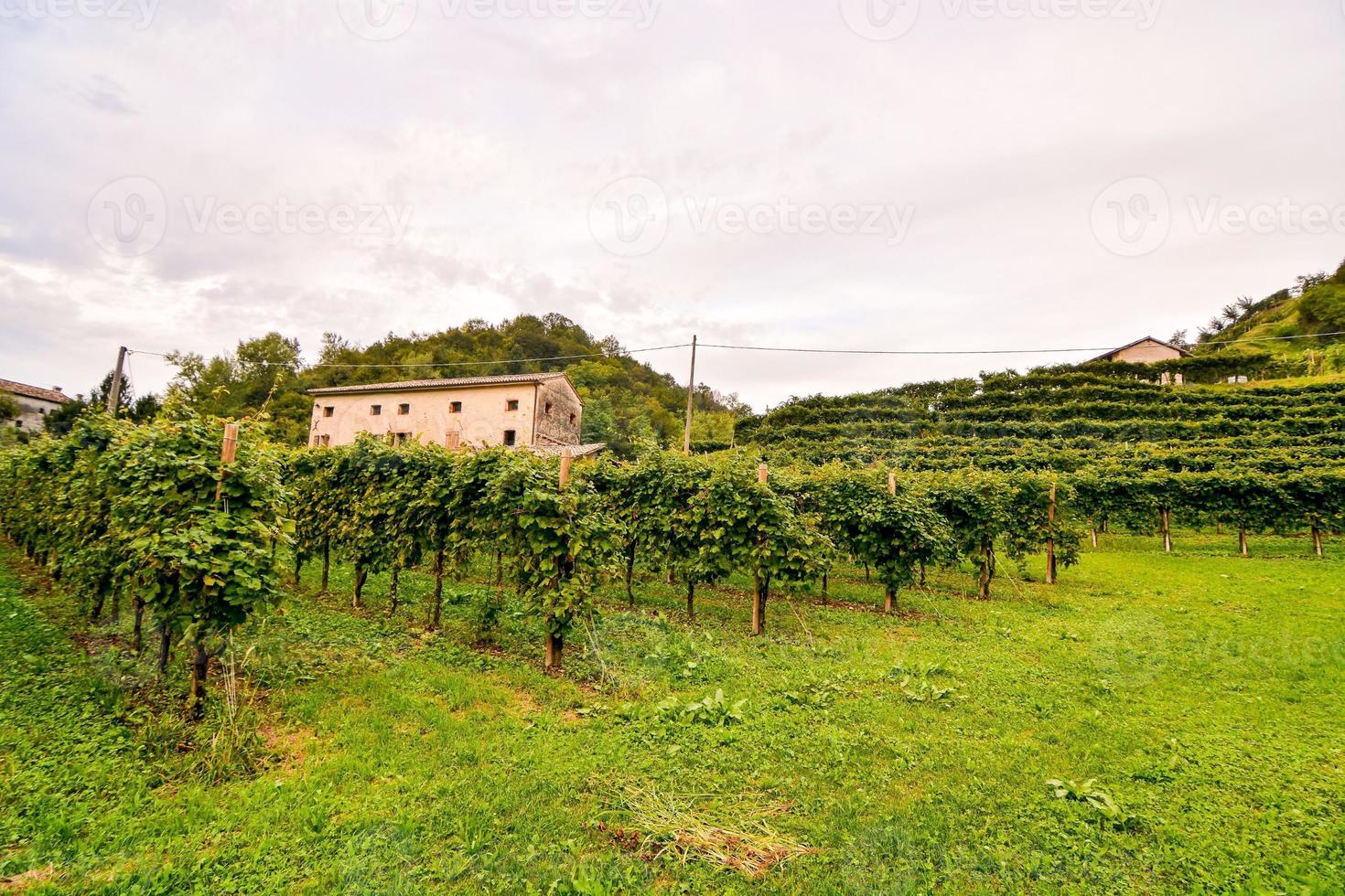 cênico rural panorama foto