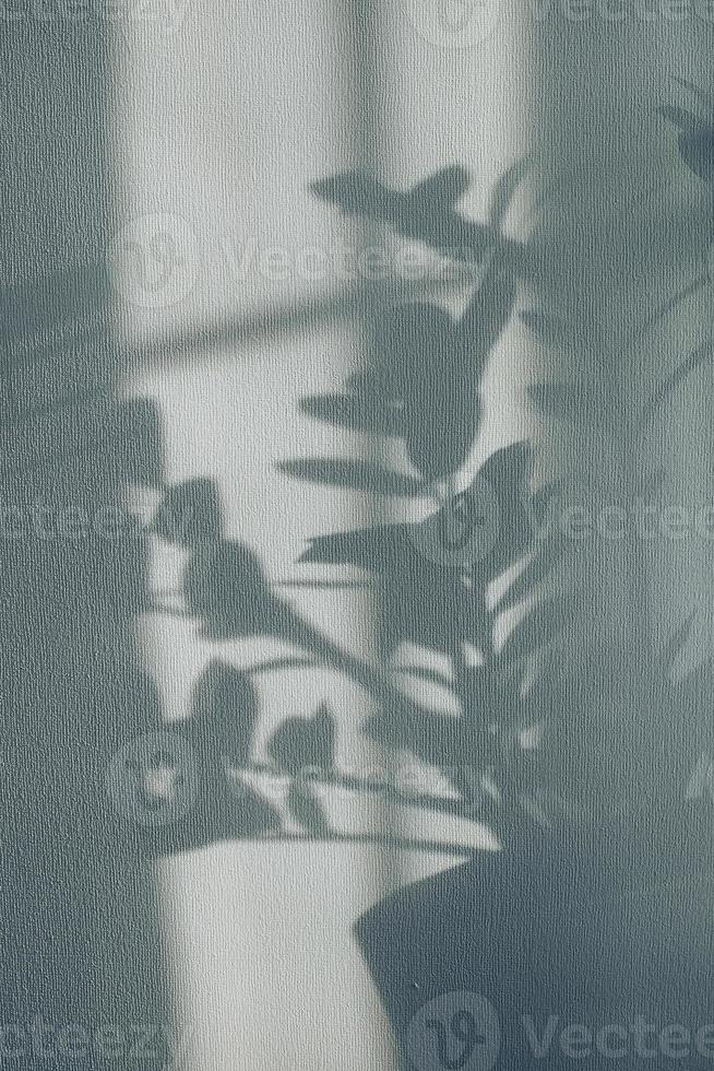 sombras do flores casa plantar em parede papeis de parede cinzento fundo. desenhando, ard, abstrato conceito foto