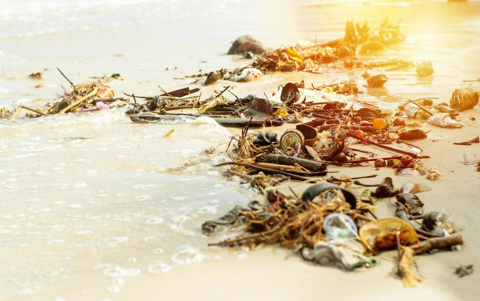 imagem de foco seletivo de lixo e resíduos na praia foto