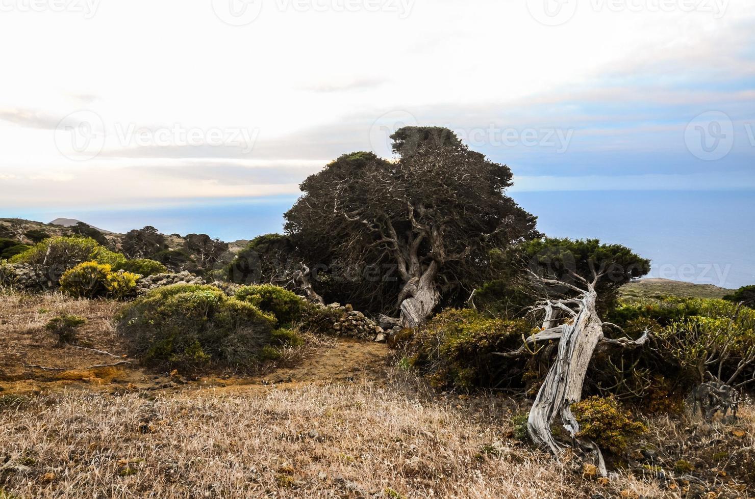 cênico costeiro Visão foto