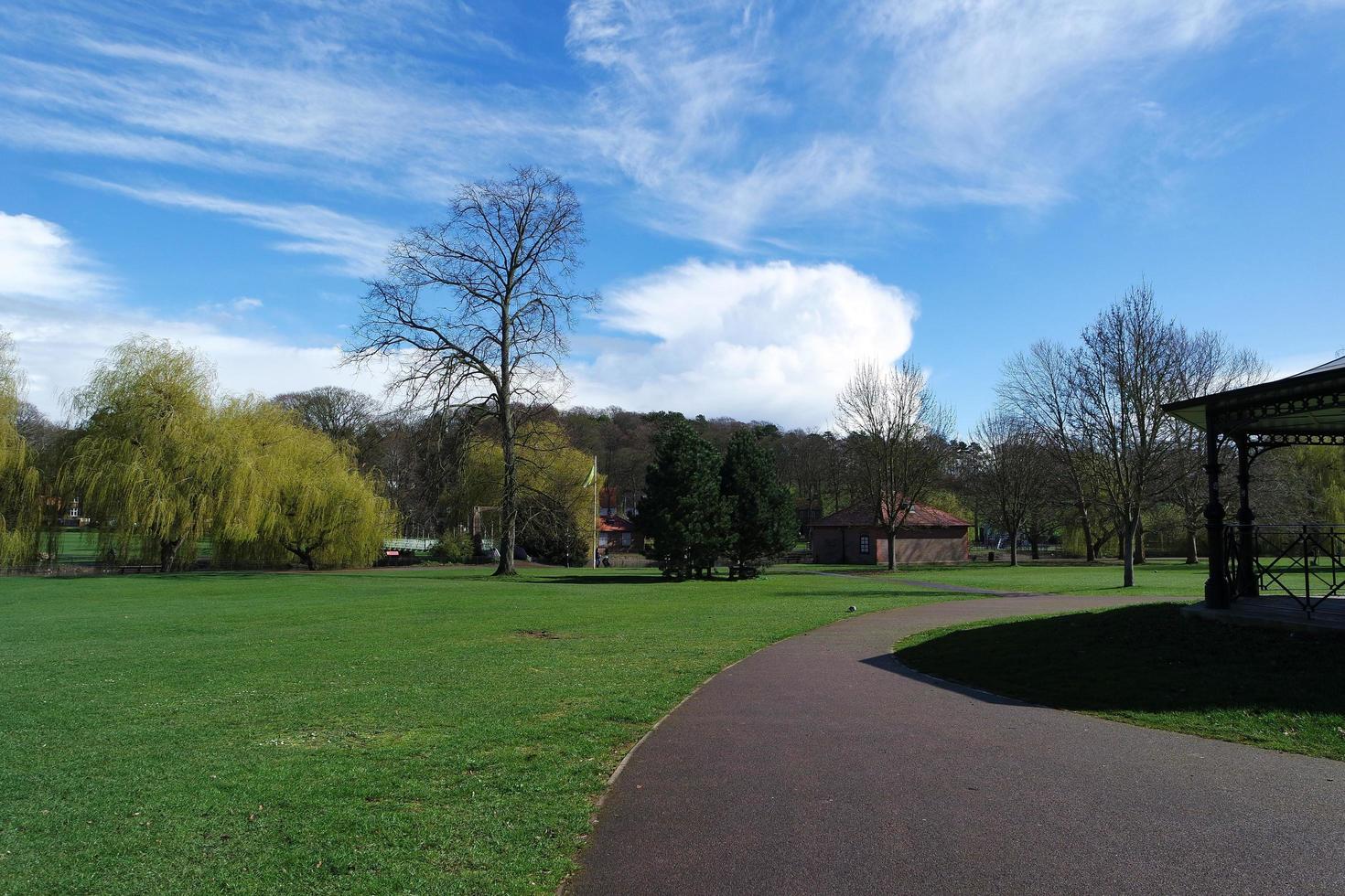 baixo ângulo Visão do árvore e galhos às local parque foto