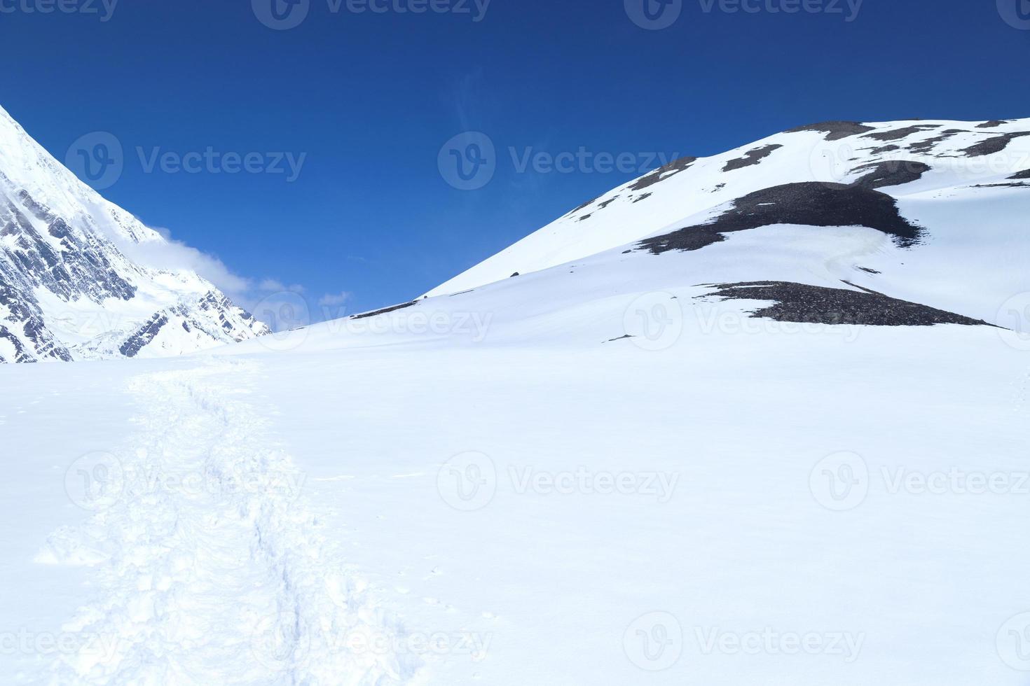 branco neve todos sobre a himalaia área foto