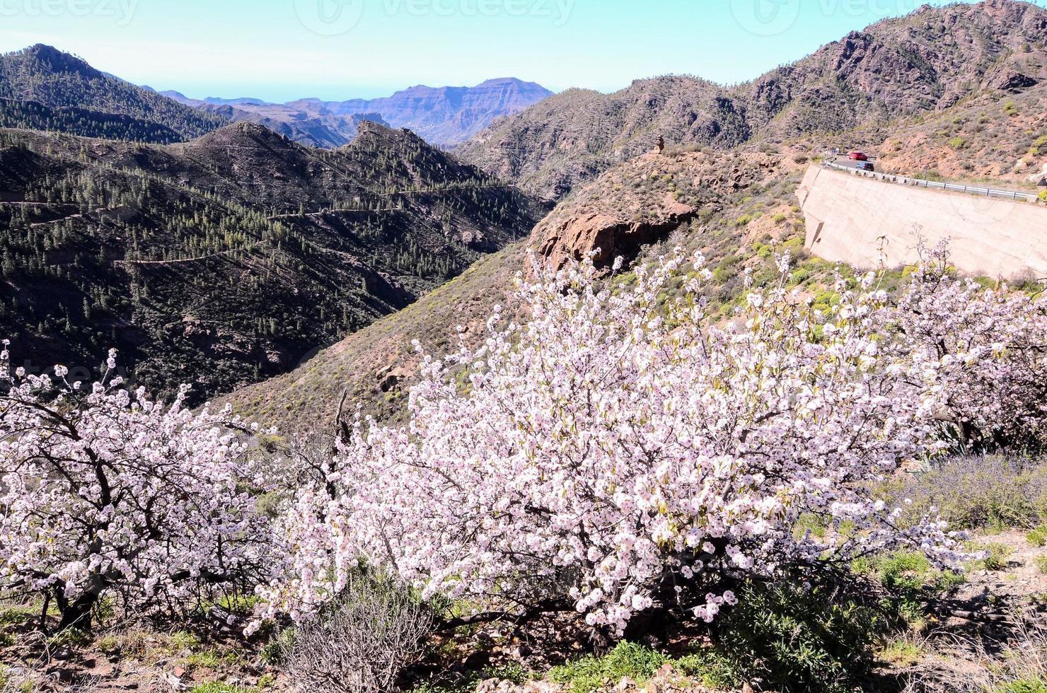 cênico rural panorama foto