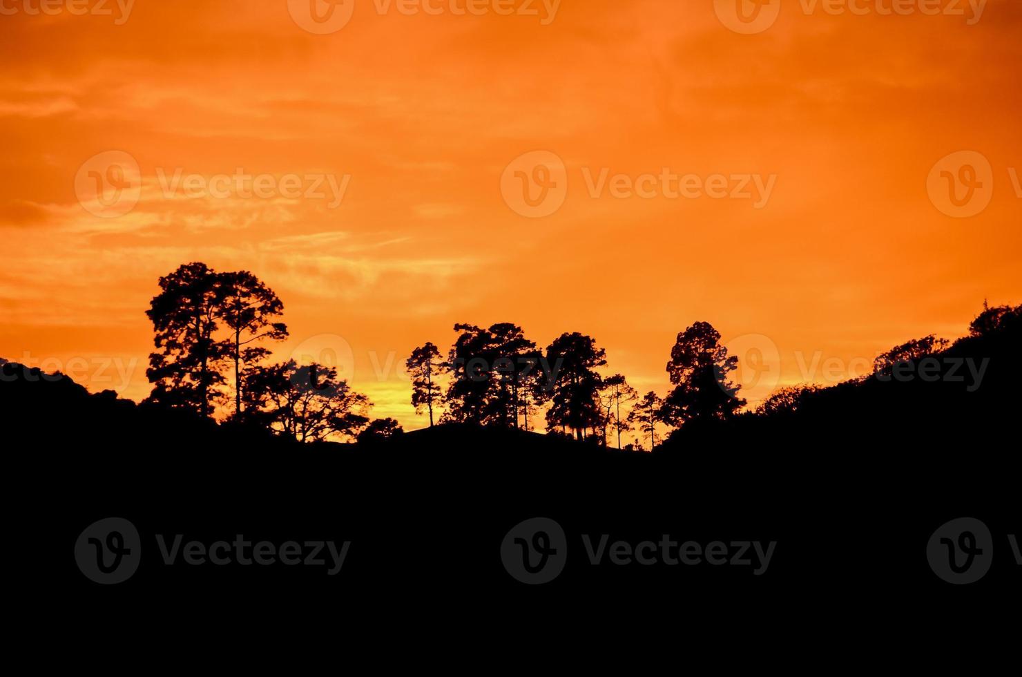 céu colorido ao pôr do sol foto