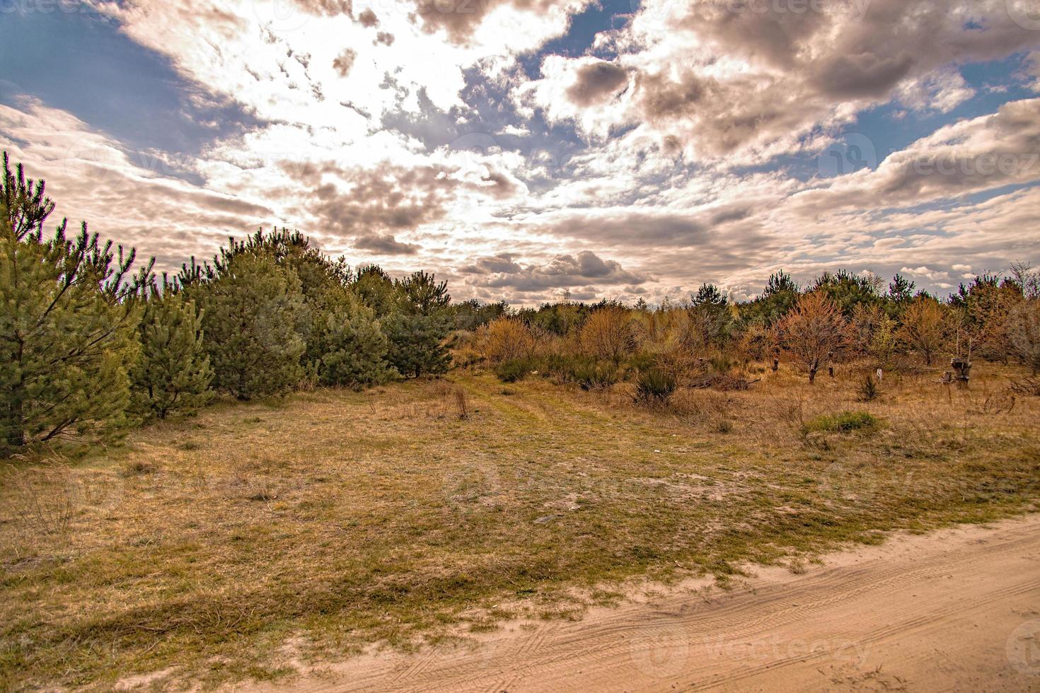 Primavera panorama com uma sujeira estrada, Campos, árvores e céu com nuvens dentro Polônia foto