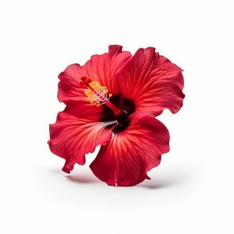 hibisco flor isolado. ilustração ai generativo foto