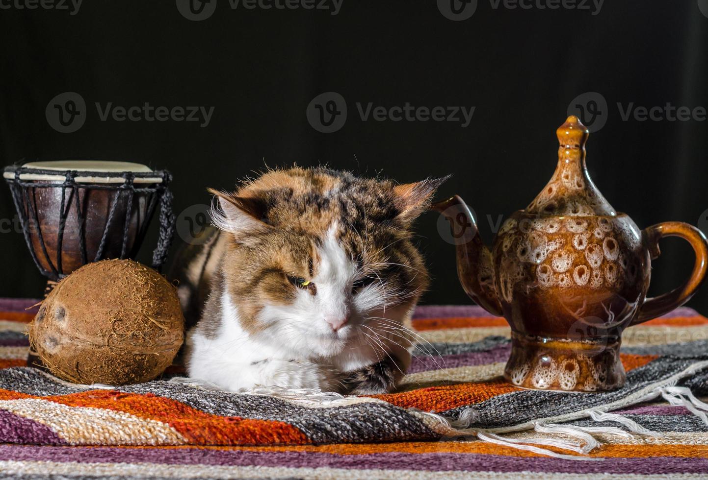 gato mal-humorado com chaleira e pão foto