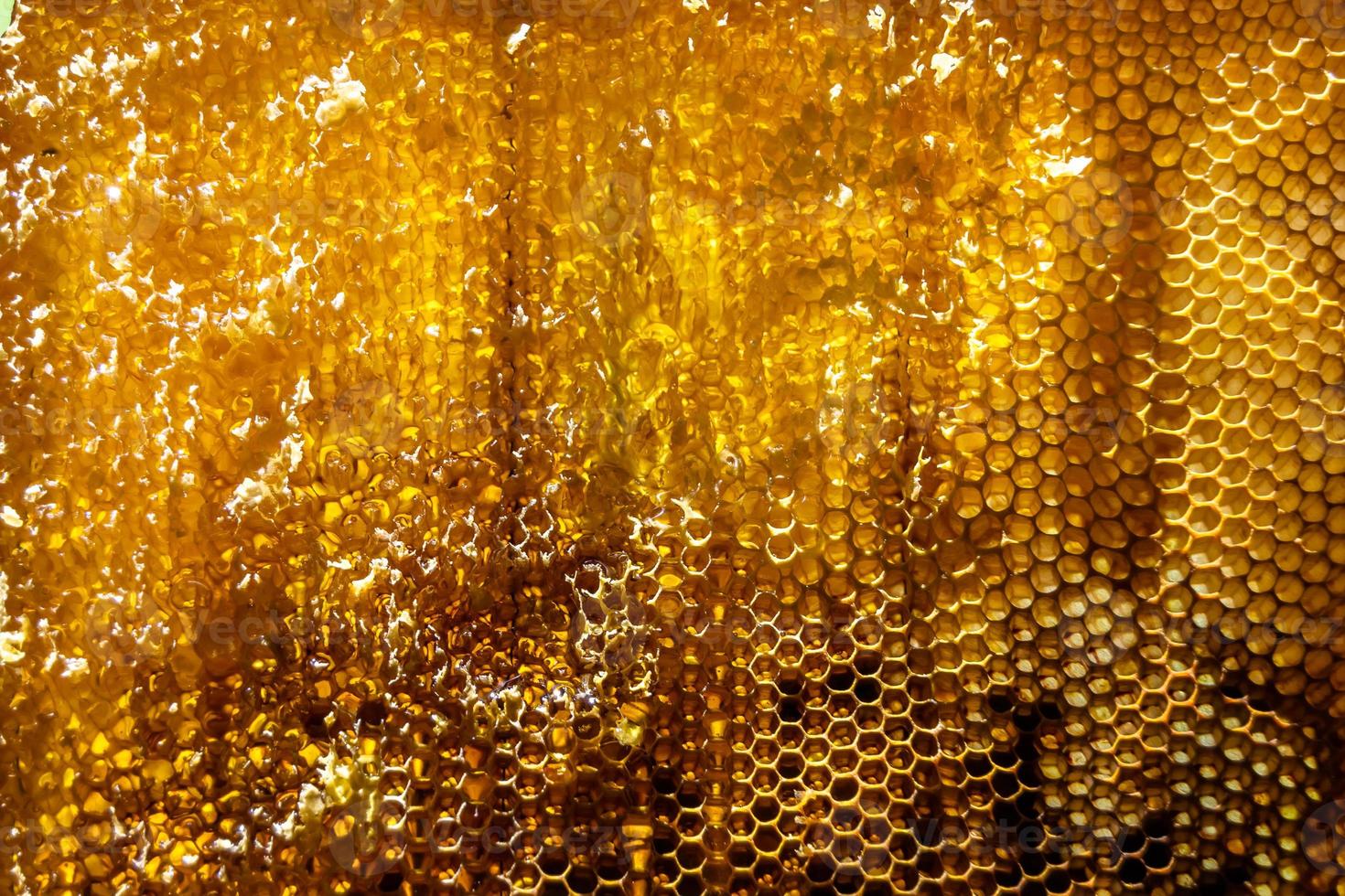 gota de mel de abelha pinga de favos de mel hexagonais cheios de néctar dourado foto