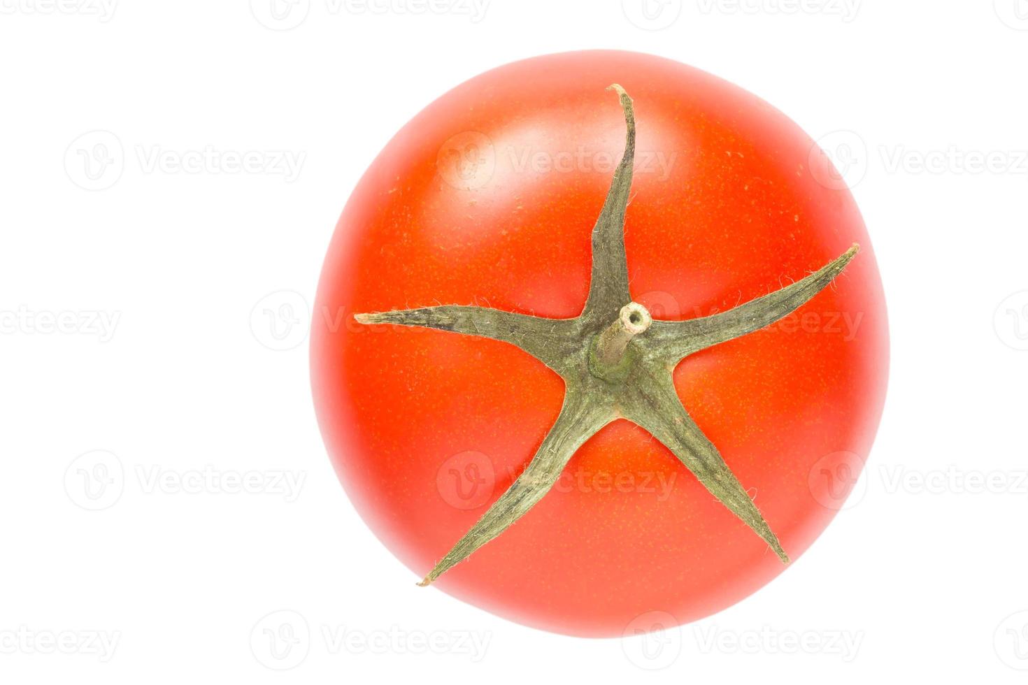 fechar acima do vermelho tomate isolado em branco foto