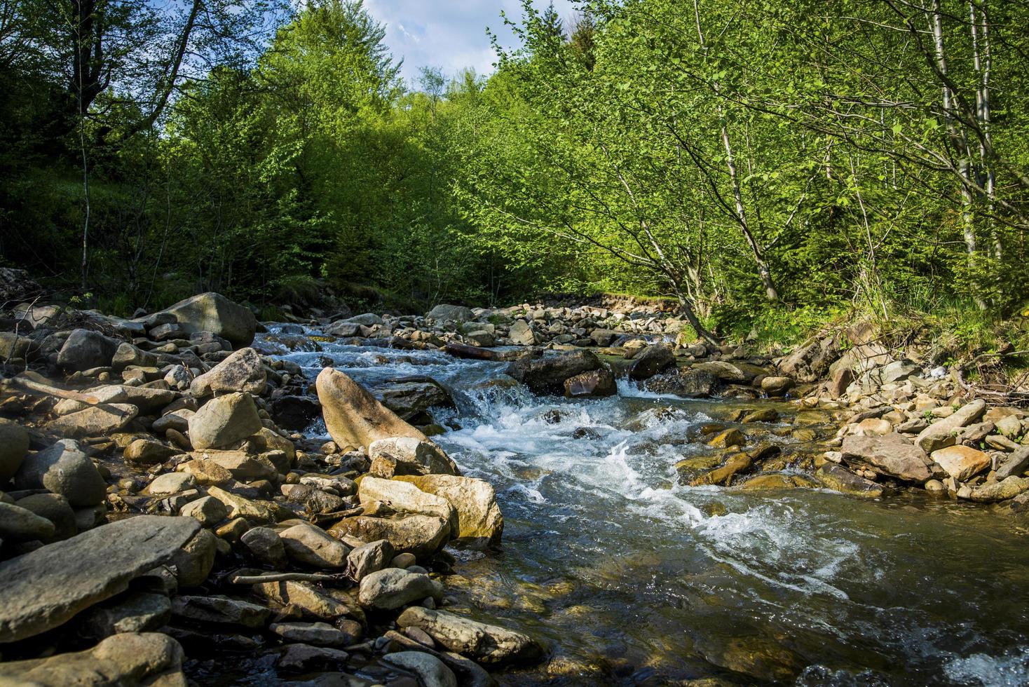 rio de montanha com floresta verde foto