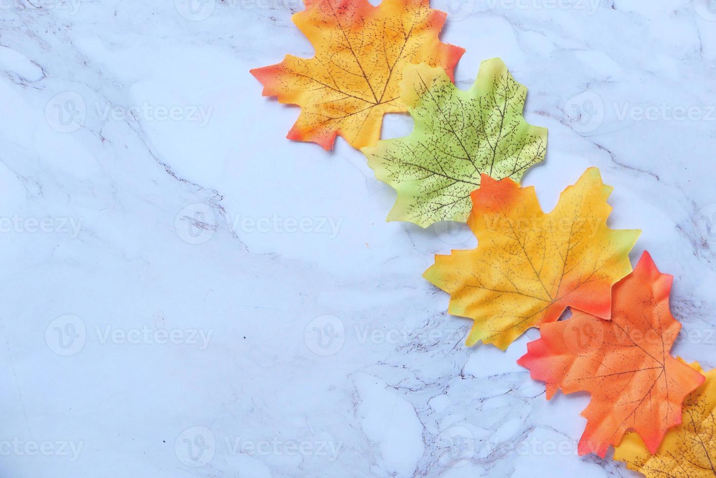 folhas de bordo de outono isoladas no fundo branco foto