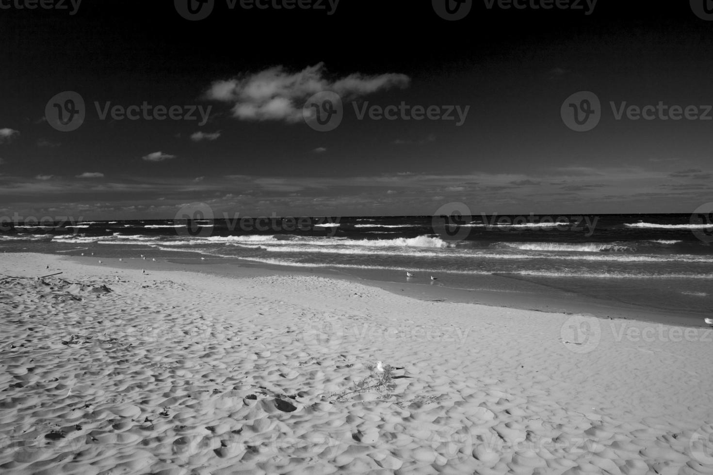 calma mar panorama em a de praia do a báltico mar dentro Polônia com gaivotas em uma ensolarado dia foto